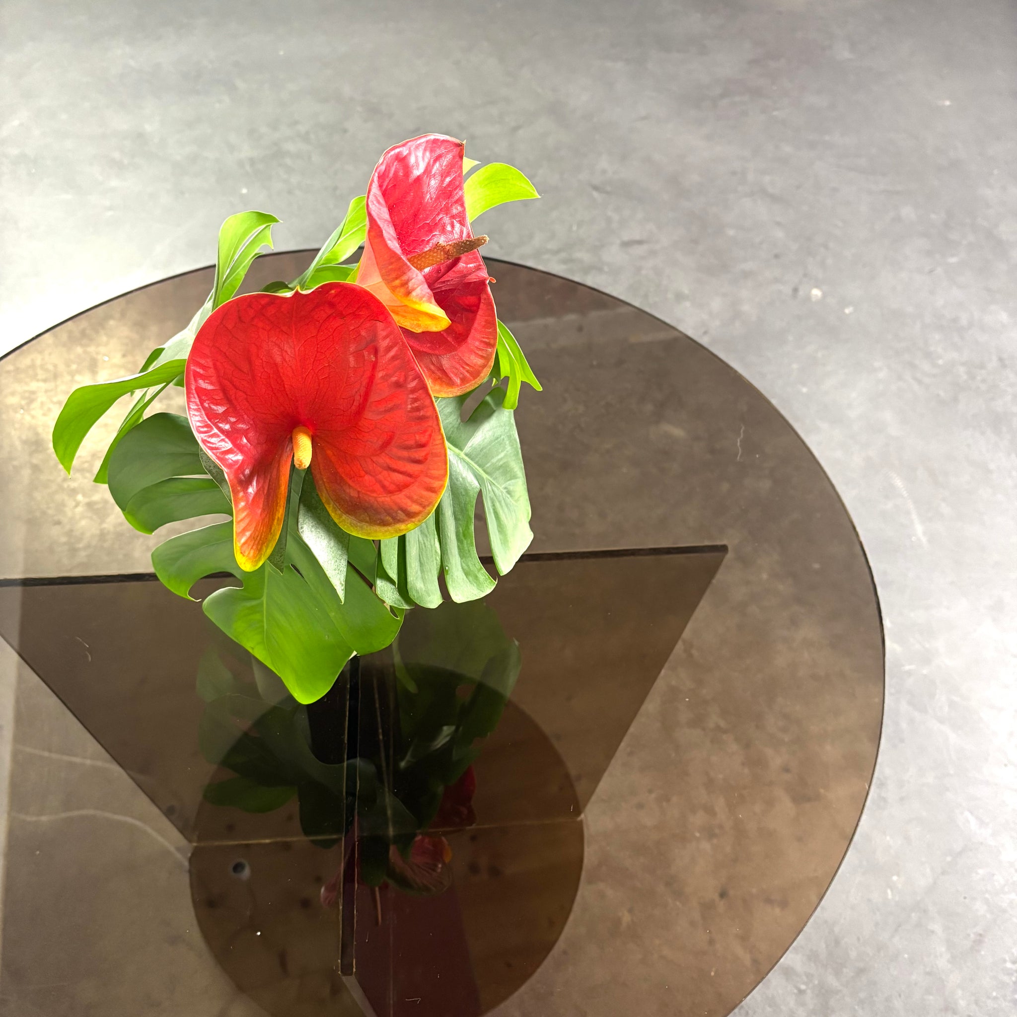 Table basse en verre fumé