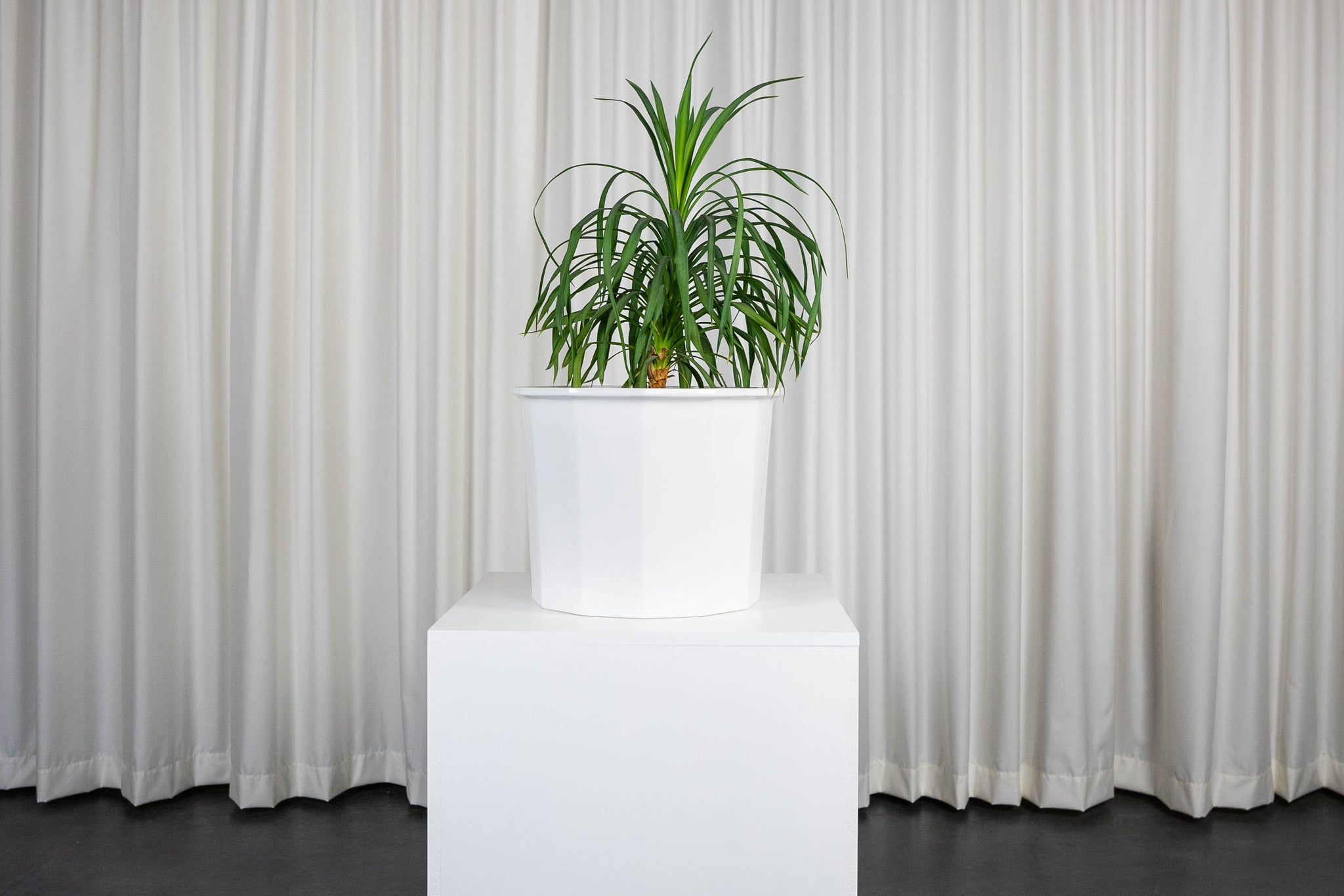 Pot de plante XXL par Karin Björquist pour la manufacture Gustavsberg, 1980, Suède